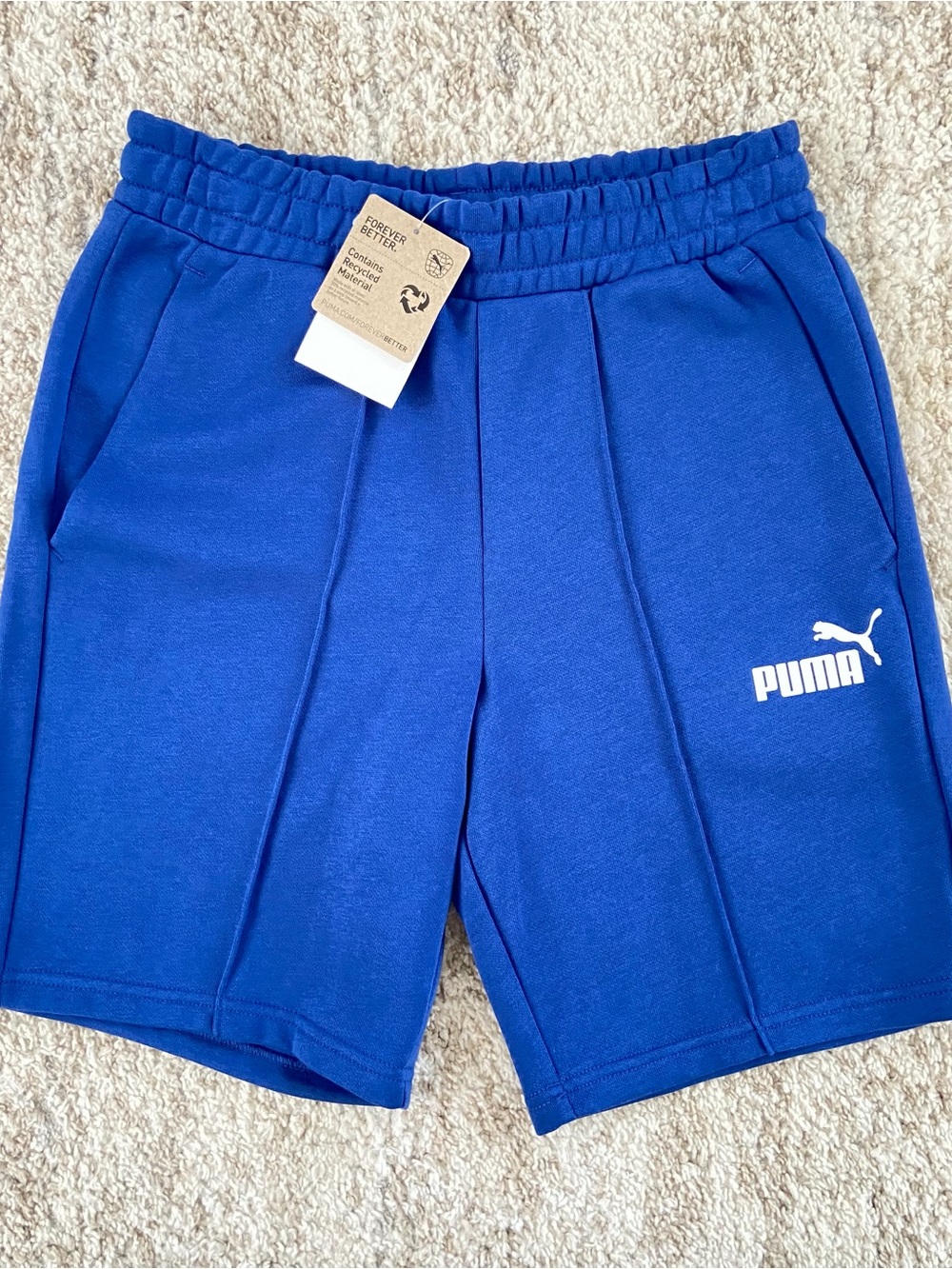 Puma Men’s Royal Blue Performance Shorts size small